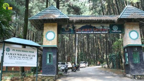 Hutan Pinus Sentul, Menikmati Panorama Alam … - raincitystudios.com