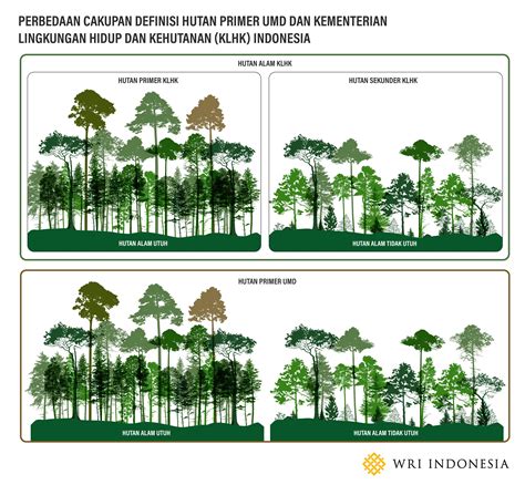 Hutan Primer dan Hutan Sekunder - Sekilas Peternakan - raincitystudios.com