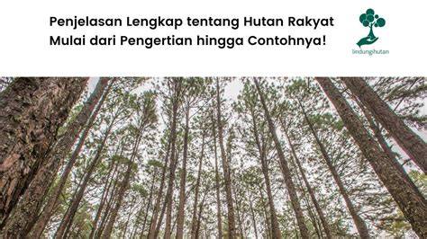 Hutan rakyat - Wikipedia bahasa Indonesia, ensiklopedia bebas - raincitystudios.com
