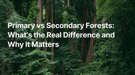 HUTAN SEKUNDER - Center for International Forestry Research - raincitystudios.com