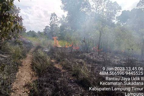 Hutan Taman Nasional Way Kambas Terbakar … - raincitystudios.com
