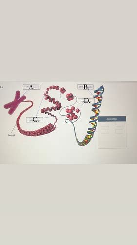 HW CH 7-9 Flashcards Quizlet