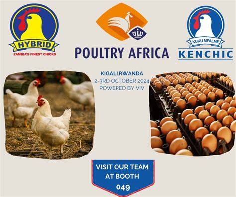 Hybrid Poultry Farm (Z) Limited - raincitystudios.com
