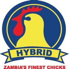 Hybrid Poultry Farm | Africa Outlook Magazine - raincitystudios.com