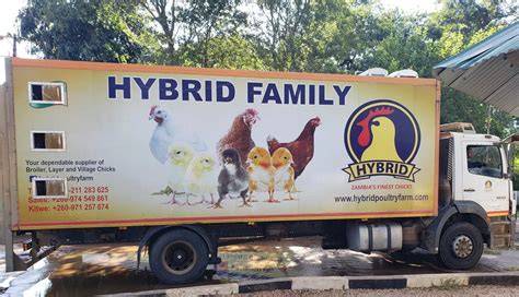 Hybrid Poultry Farm by Outlook Publishing - Issuu - raincitystudios.com