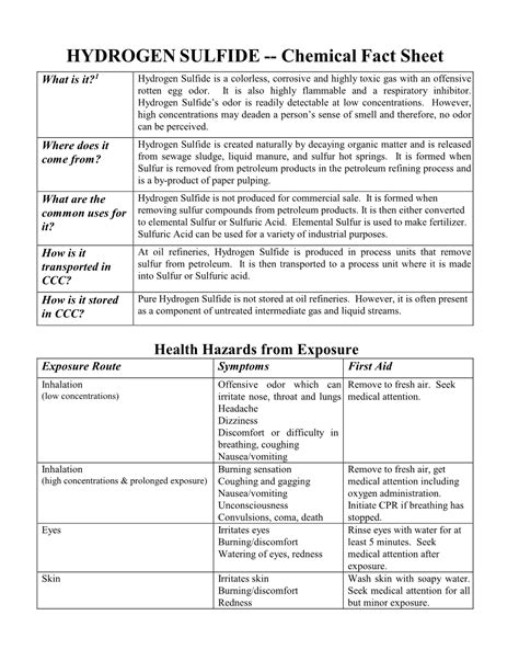 HYDROGEN SULFIDE Chemical Fact Sheet DocsLib