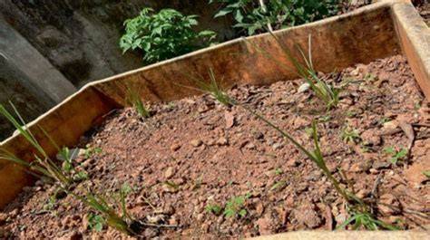 Hydrological Modification of Laterite Soil Considering … - raincitystudios.com