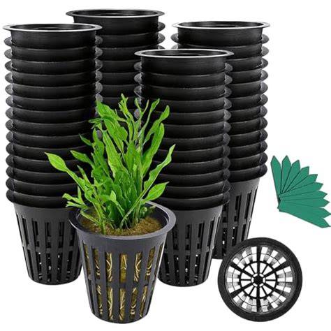 Hydroponic Net Pots Slotted Mesh Net Cups for Deep Water Culture DWC ... - raincitystudios.com
