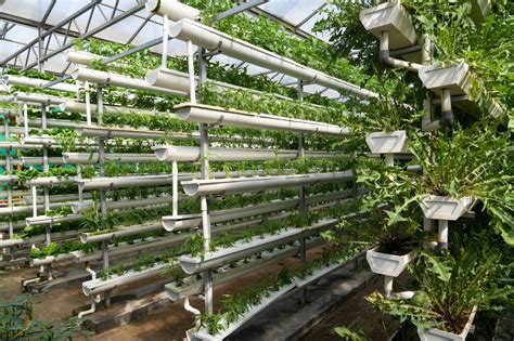 Hydroponic Nutrient Assistant - Professional Mixing Calculator - wintechmobiles.com