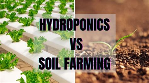 Hydroponic Vs Soil Farming - wintechmobiles.com