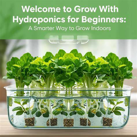 Hydroponics – Growing Plants Without Soil - Prezi - raincitystudios.com
