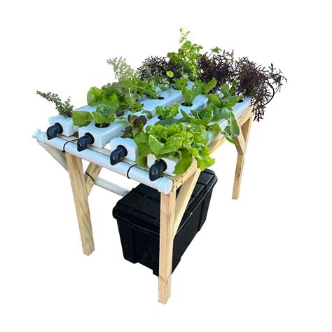 Hydroponics Starter Kit NFT System Complete - raincitystudios.com