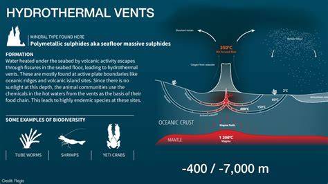Hydrothermal Vent Ecosystems - JSTOR - raincitystudios.com
