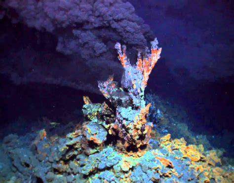 Hydrothermal vents and the origin of life - Nature - raincitystudios.com