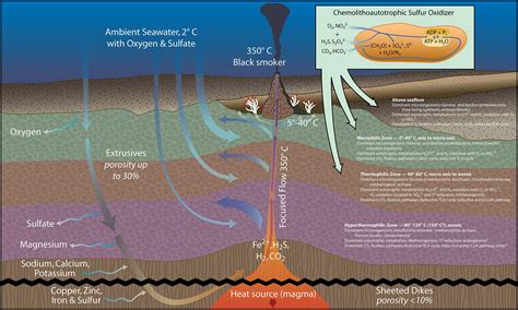 Hydrothermal Vents.docx - Unit 6 Assignment: Hydrothermal Vents ... - muktibox.com