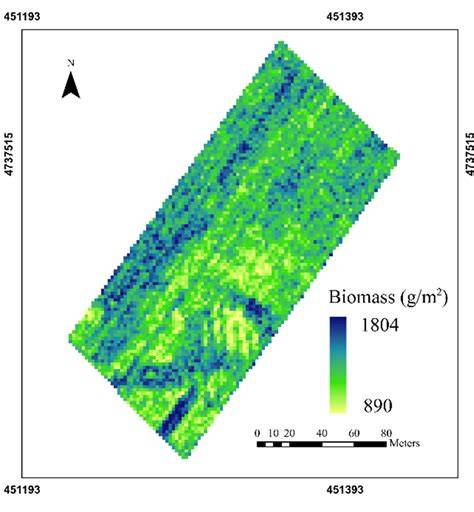 Hyperspectral estimation of aboveground dry biomass of winter wheat ... - raincitystudios.com