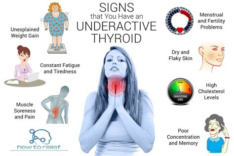 Hypothyroidism (Underactive Thyroid) - NIDDK - muktibox.com