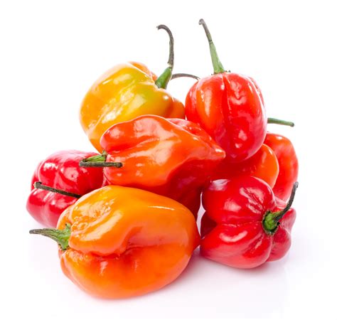 Habañero peppers. Habanero Pepper Amount Per Serving. Calories 18 % Daily Value* Total Fat 0.2 g grams 0% Daily Value. Saturated Fat 0 g grams 0% Daily Value. Polyunsaturated Fat 0.1 g grams. Monounsaturated Fat 0 g grams. Cholesterol 0 mg milligrams 0% Daily Value. Sodium 4.1 mg milligrams 0% Daily Value. 