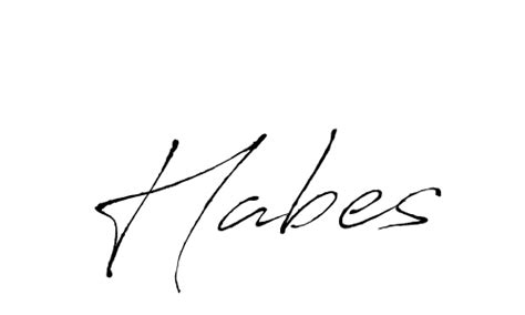 Habes Halı ve Koltuk Yıkama