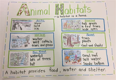 Habitats Anchor Chart