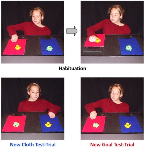 uses of the habituation paradigm, the most conservative interpre-tation of dishabituation after habituation is that infants notice a. difference between the stimuli. Indeed, the procedure has been .... 