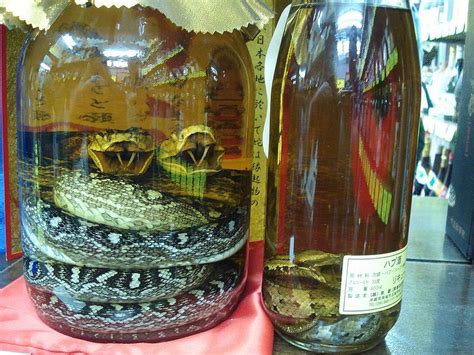 Habushu. Habushu (ハブ酒) is an awamori-based liqueur made in Okinawa, Japan. Other common names include Habu Sake or Okinawan Snake Wine. Habushu is named after the habu snake, Trimeresurus flavoviridis, which belongs to the pit viper subfamily of vipers, and is closely related to the rattlesnake and … See more 