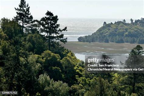 Hacalu hd picher.  Browse Getty Images&rsquo; premium collection of high-quality, ...