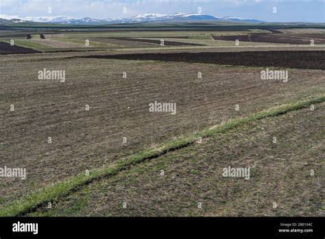 Haciali Halı ve Koltuk Yıkama