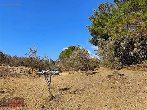 Haciarslanlar Halı ve Koltuk Yıkama