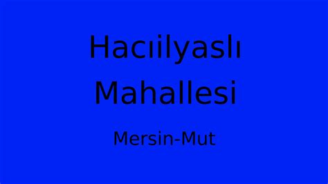 Haciilyasli Halı ve Koltuk Yıkama