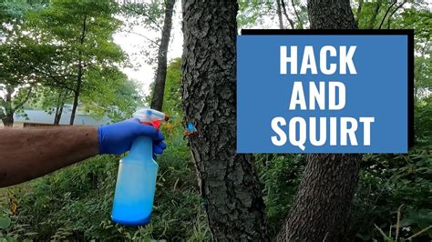 Hack and Squirt Method To Kill A Tree - YouTube