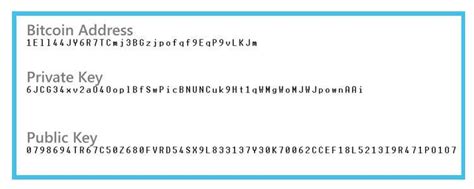 Hack private key bitcoin wallet. .  ...