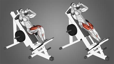 Hack swuat. 2. Hack squat machine. The hack squat is another popular leg machine that emphasizes the quads. The pendulum squat works the glutes more than hack squats, but if you want to build bigger, more muscular quads, the hack squat is hard to beat. 