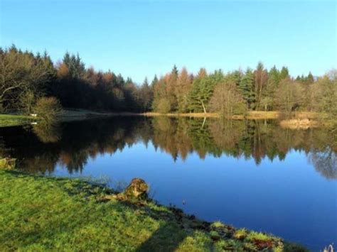 Haddockston Fishery Fishery.co.uk