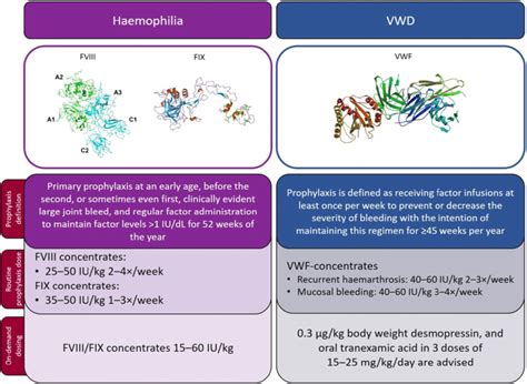 Haemophilia A and von Willebrand