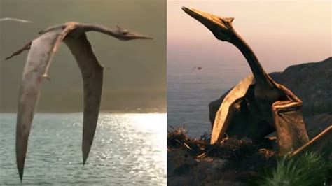 Haenamichnus is an ichnogenus that has been attributed to azhdarchid pterosaurs. In 2002, paleontologists Hwang, Huh, Wright, Martin Lockley, and Unwin named the type species Haenamichnus uhangriensis, based on fossil tracks they found in South Korea, dating to 86.3 to 70.6 Million years ago, during the Santonian to Campanian stages of the .... 