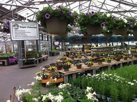 The Gardener's Center is your year-round garden center offering a wide selection of unique and sought-after outdoor and indoor plants, designer pottery, organic gardening supplies, container design services, gifts and more. We're committed to providing exceptional service and horticultural expertise. We are YOUR garden gurus!. 