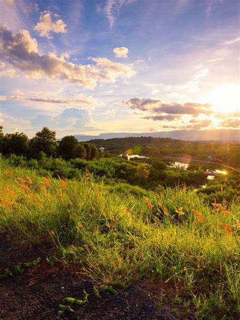 Hagerstown funeral home obituaries.  Offer condolences/tributes, send fl...