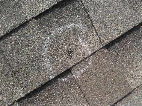 Hail damage shingles. Hail damage to roofs versus normal or typical asphalt shingle wear. Hail-damaged roof shingles we've seen or which have been sent along to us as in photo form, show more of a "scouring" effect in which larger, more irregularly-shaped areas of shingle surface have lost granules (and thus have produced a shingle nearer the end of its product life ... 