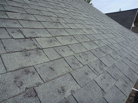 Hail damage to roof. Inspect gutters and downspouts for hail damage. Siding and window frames … 