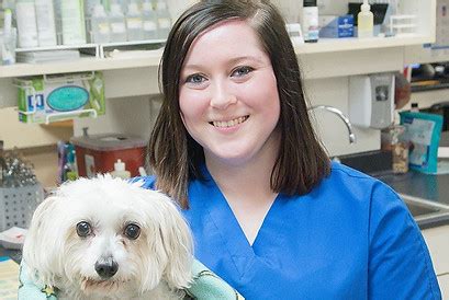 Hailey Monnet - Certified Veterinary Assistant - Laketown Animal ...