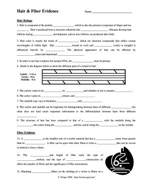 Hair And Fiber Evidence Worksheet