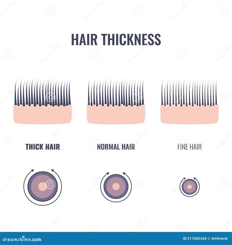 Hair Strand Thickness Chart
