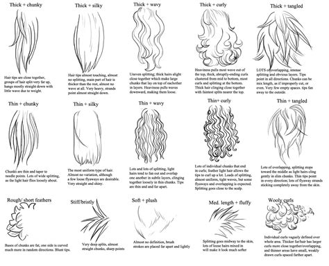Hair Types Drawing