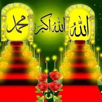 codini.rgarabwor.edu.pl. 