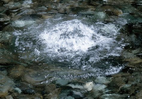 Hakkımızda Spring Water. 
