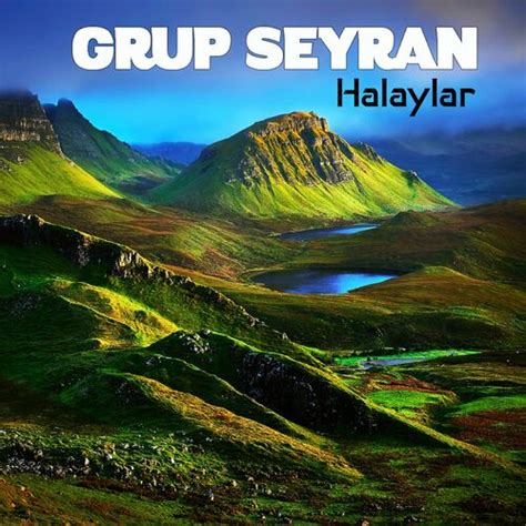 Halaylar Album Grup Seyran Spotify. 