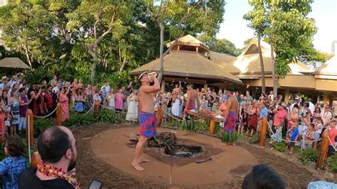 Chief's Luau was high energy, entertaining, hilarious, educational, and welcoming all wrapped into one evening. We learned about Polynesian culture, were dazzled by the dances and fire show, and laughed all night.