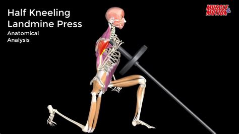 Half kneeling landmine press muscles worked. .  <a href=https://expertpro66...