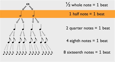 Half note. g.  A half note is equal to four beats in 4/4 time.  Sep 26, 2023 · To pla...